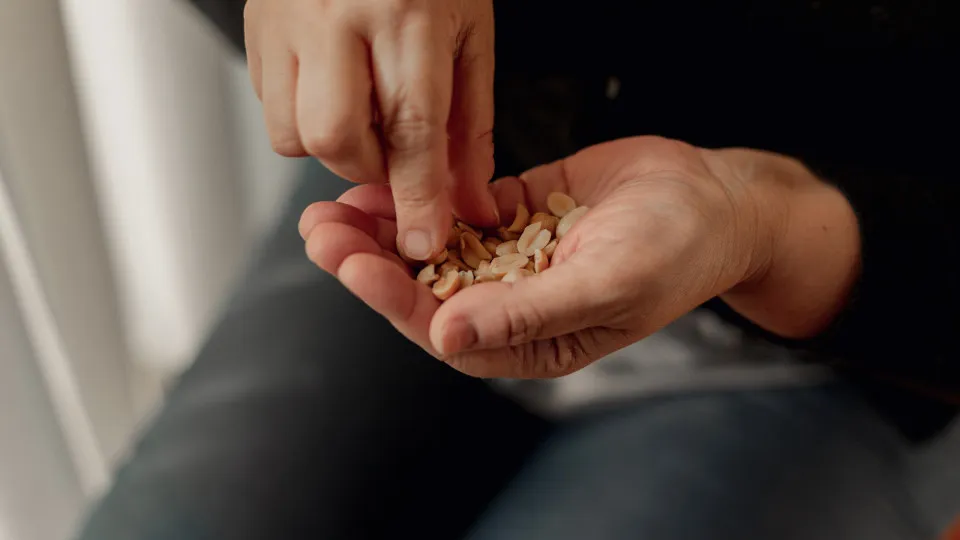 Há um fruto seco com mais proteína do que o ovo; descubra qual é