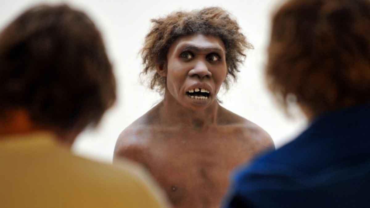 Homo erectus sabia se adaptar às condições desérticas, revela estudo