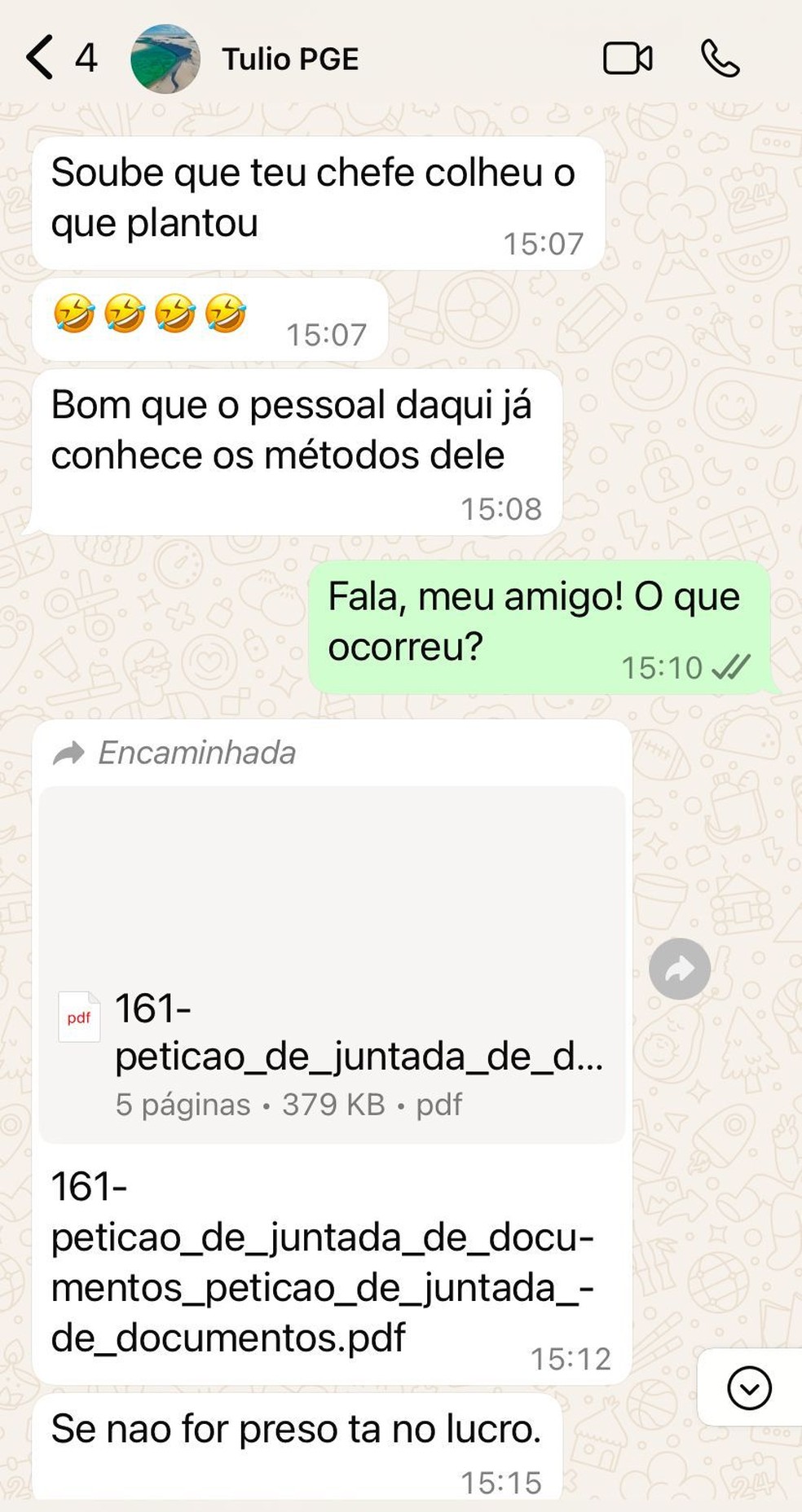 Suposto print do WhatsApp — Foto: Divulgação