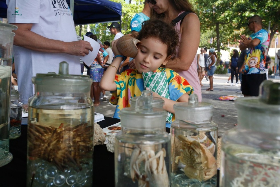 Criança aproveita a exposição de exemplares da fauna marinha nativa do MONA Cagarras, em celebração aos 15 anos da unidade de conservação — Foto: Agência O Globo/Custódio Coimbra
