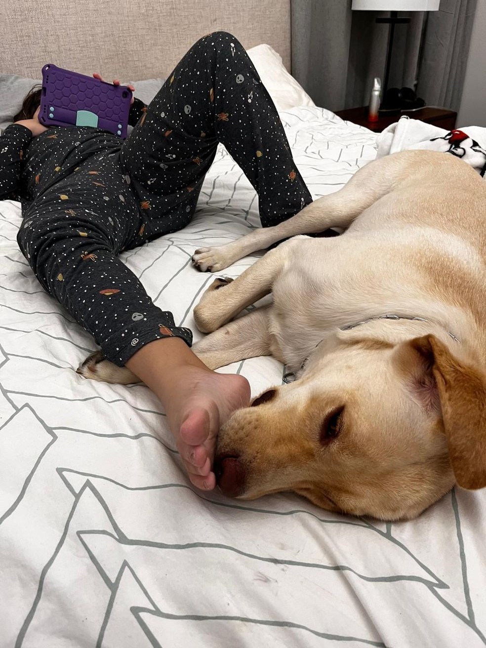 Teddy é cão de serviço de uma criança autista — Foto: arquivo pessoal