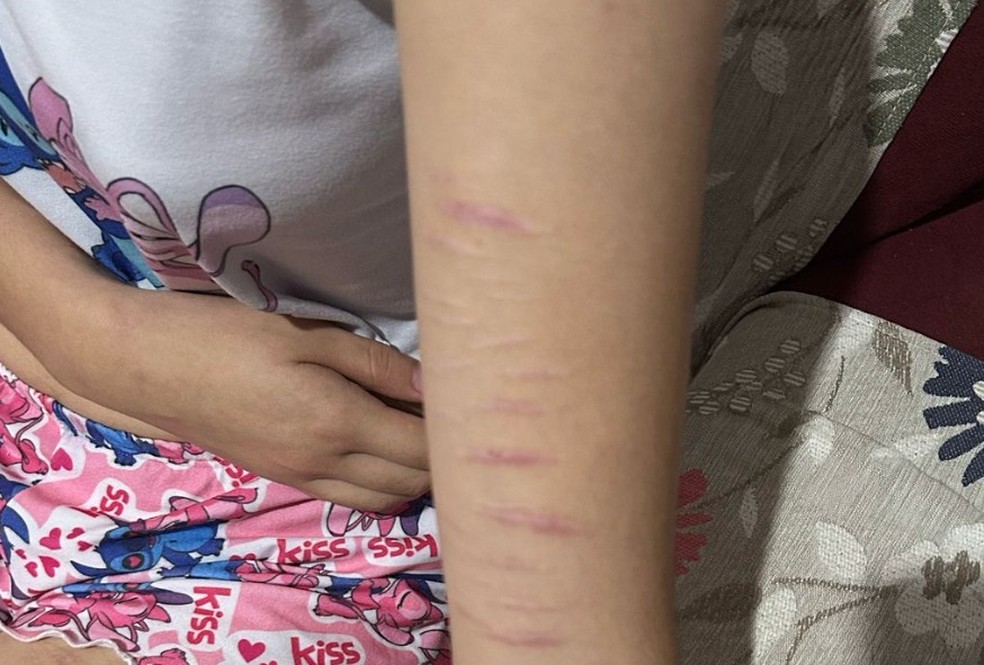 Grupo agia a partir de plataformas como Discord e WhatsApp e estimulava crianças e adolescentes a se automutilarem — Foto: Reprodução/PCMT