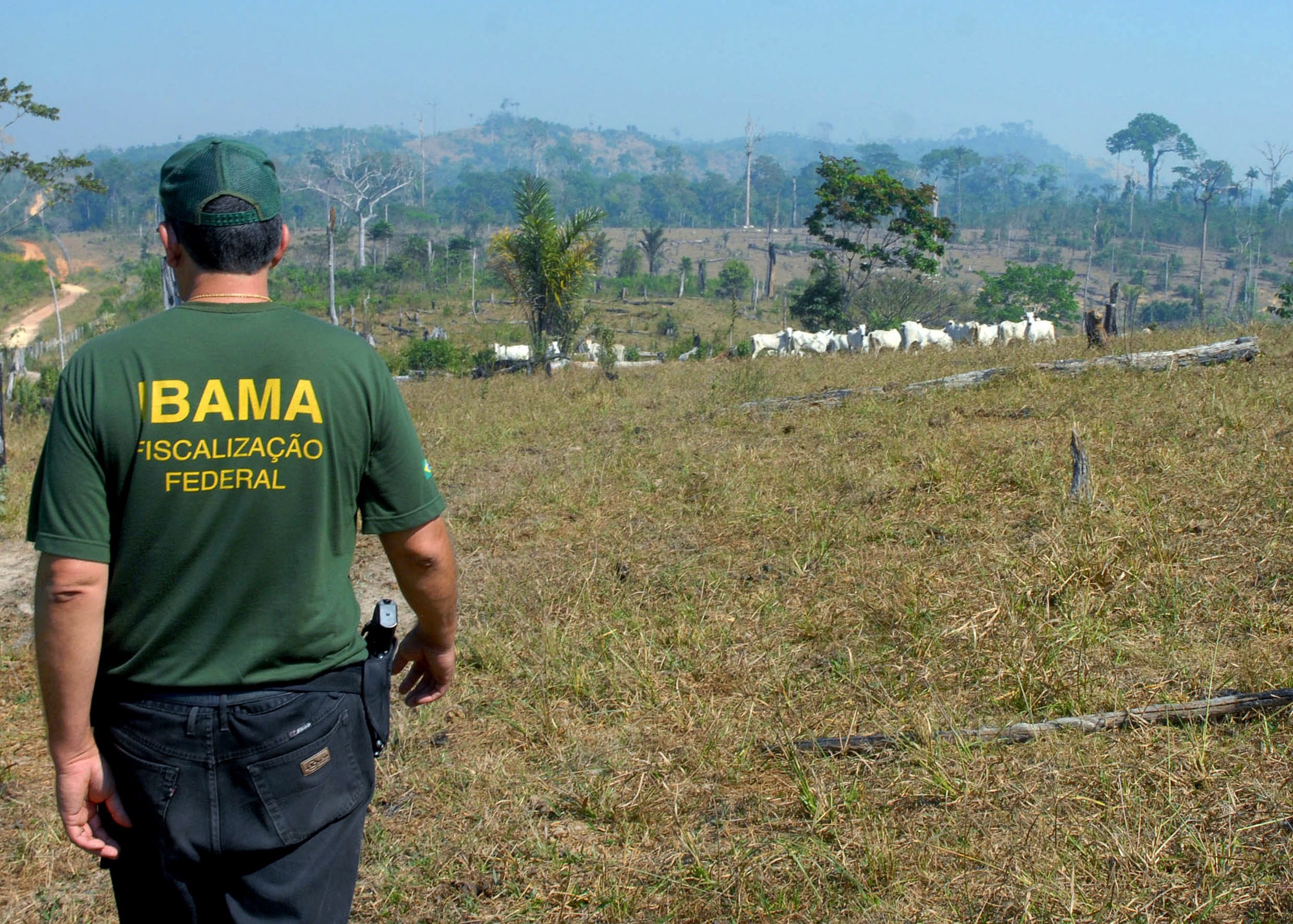 A queda salarial dos servidores federais ligados ao meio ambiente