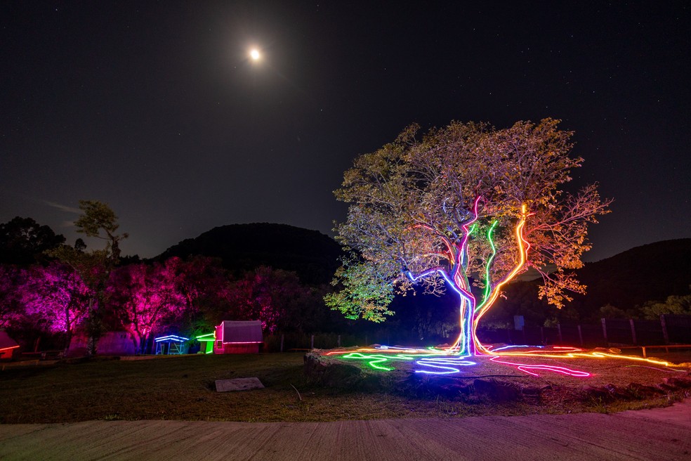 Algumas árvores do espaço de 12 hectares do Lumni Gramado também serão iluminadas — Foto: Divulgação