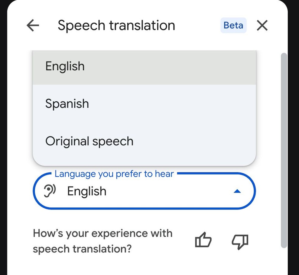Botão no Google Meet permite que usuário escolha qual idioma quer falar e ouvir — Foto: Reprodução/Google Meet
