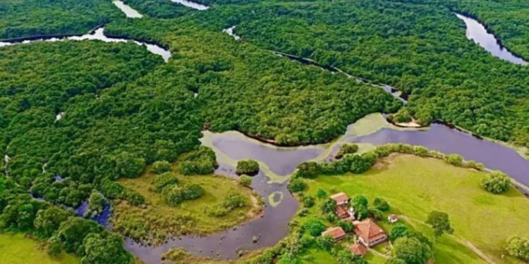 Vista aérea da Fazenda Barra Mansa, no Pantanal — Foto: Divulgação