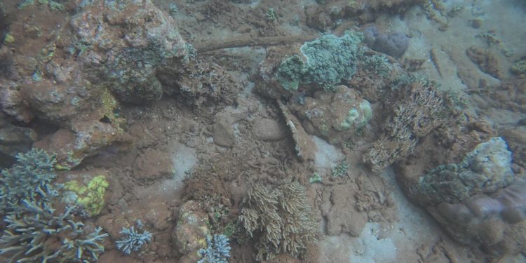 Análise das operações de mineração atuais e passadas na região de Raja Ampat, perto da província de Papua, revela um "efeito dominó de destruição", que vai do desmatamento terrestre à erosão de sedimentos que sufocam os recifes de corais — Foto: Auriga Nasuntara/AFP