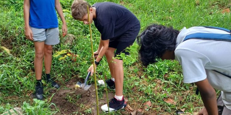 Alunos cuidam de plantas na Rio International School — Foto: Divulgação