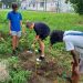 Alunos cuidam de plantas na Rio International School — Foto: Divulgação