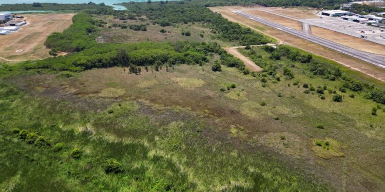 Área de vegetação do Aeroporto de Jacarepaguá que pode ser derrubada — Foto: Divulgação