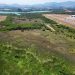 Área de vegetação do Aeroporto de Jacarepaguá que pode ser derrubada — Foto: Divulgação