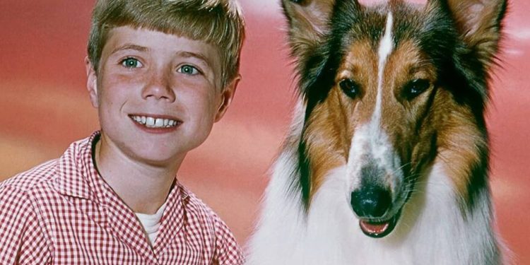 Lassie foi um dos cachorros mais famosos da história da televisão — Foto: Reprodução