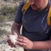 Arqueólogos encontram ovo de dinossauro de 70 milhões de anos perfeitamente preservado