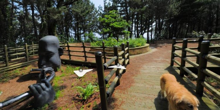 A simpática Maru, da raça golden retriever, seguis fotógrafo na ilha de Jukdo, na Coreia do Sul, e apareceu em centenas de fotos — Foto: Kakao Map / Reprodução
