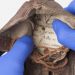 O papel com as informações da criança estava sob a sola do sapato — Foto: Divulgação/Museu de Auschwitz