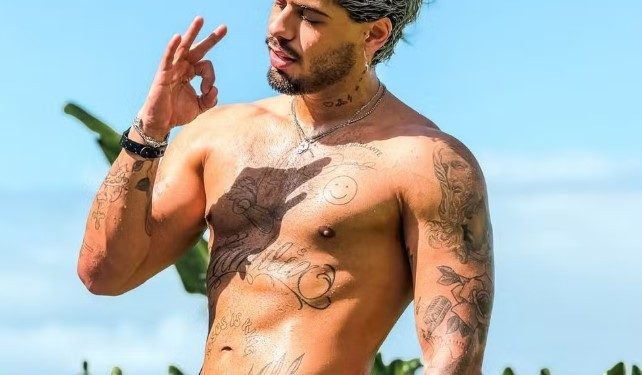 De Zé Felipe a Viviane Araújo: Quem são os famosos que alteraram tatuagens feitas para ex?