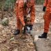 Cão farejador sente cheiro de roupa de Antonio Petraglia durante buscas no Morro da Urca — Foto: Divulgação / Corpo de Bombeiros do Rio