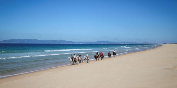 Turistas passeiam a cavalo pela praia da Comporta. Região tem pinhais e dunas que se estendem ao longo das praias quase desertas do sudoeste de Portugal — Foto: Patricia de Melo Moreira / AFP