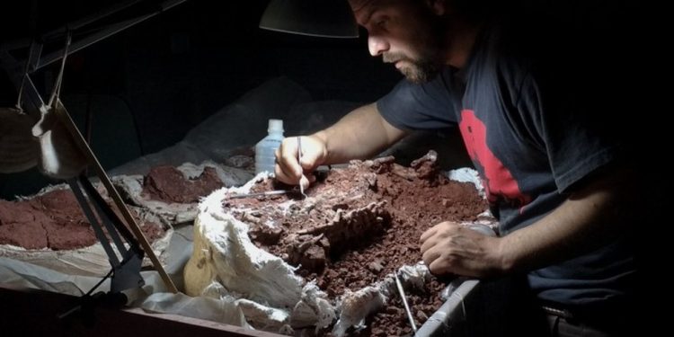 Esqueleto de nova espécie de dinossauro, Huayracursor jaguensis, é descoberto nas montanhas da Argentina — Foto: AFP PHOTO / CONICET / HANDOUT