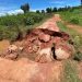 Chuvas revelam as péssimas condições das estradas mal planejadas e mal conservadas — Foto: ELISANGELA PEREIRA LOPES/CNA