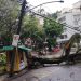 Árvore caiu na Rua General Glicério, em Laranjeiras, e interditou a via na altura da Rua General Cristóvão Barcelos — — Foto: Divulgação/Prefeitura do Rio