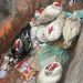 Quatro patos e um ganso foram abandonados em caçamba de lixo no Centro da cidade — Foto: Divulgação/Prefeitura do Rio