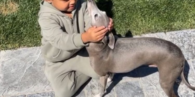 Filha mais velha de Kylie Jenner, Stormi Webste, ao lado do cachorro da influenciadora digital — Foto: Reprodução / Instagram