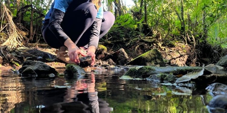 Tanise Etges, coordenadora do programa Protetor das Águas de Vera Cruz, conta que procura de produtores para inscrição no projeto é alta. — Foto: Divulgação