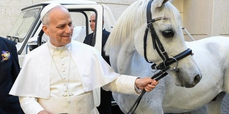 Papa Leão XVI caminhando ao lado de Proton — Foto: Vatican Media