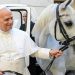 Papa Leão XVI caminhando ao lado de Proton — Foto: Vatican Media