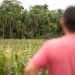 No Brasil, a Philip Morris realiza o pagamento por serviços ambientais aos produtores integrados, para garantir a manutenção da mata nativa — Foto: Divulgação