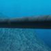 Status-6 (apelidado de Poseidon) é amplamente referido como um veículo submarino não tripulado — Foto: Reprodução
