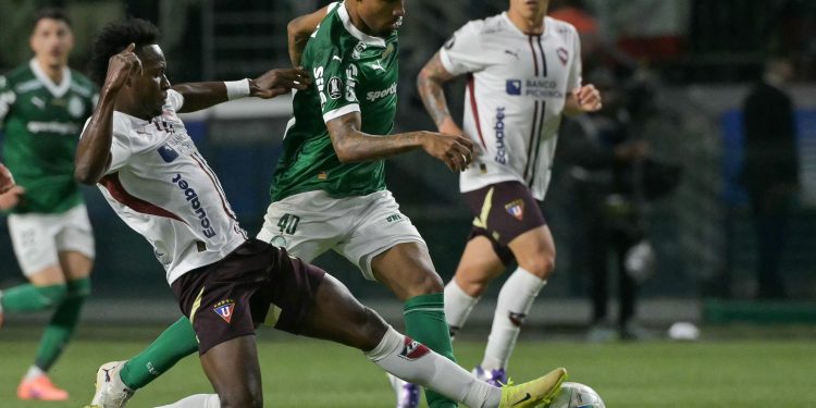 Saiba quem é Allan, meia do Palmeiras que brilhou na virada épica sobre a LDU
