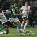 Saiba quem é Allan, meia do Palmeiras que brilhou na virada épica sobre a LDU