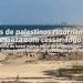 Milhares de palestinos retornam ao norte de Gaza com início de cessar-fogo