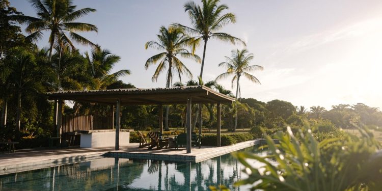 Piscina em meio à fazenda de coqueiros no Espelho — Foto: Divulgação