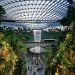 A Rain Vortex, a cachoeira interna cercada por uma mini floresta tropical, marca registrada do Aeroporto Changi, em Cingapura, eleito o melhor do mundo — Foto: Reprodução / Wikimedia Commons