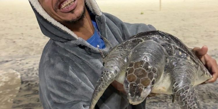Homem capturou tartaruga no mar e sai andando com o animal da Praia de Copacabana — Foto: Reprodução/Redes Sociais