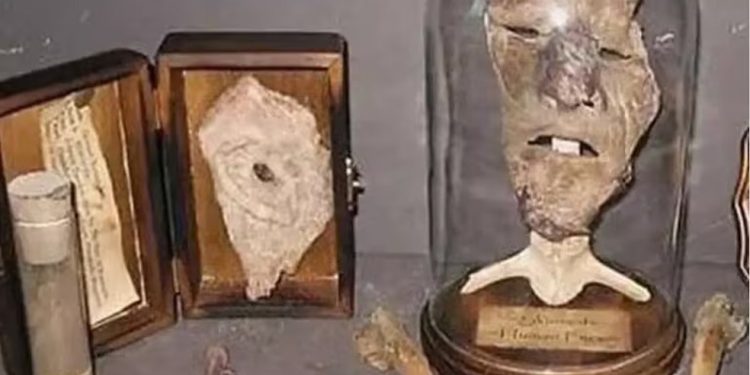 De cadeiras revestidas com pele a abajures feitos de rostos: o cenário macabro encontrado na casa do serial killer conhecido como 'açougueiro de Plainfield' — Foto: Reprodução/X
