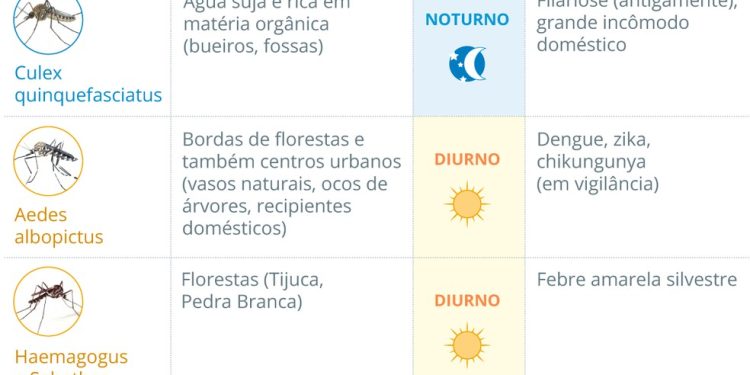 Entenda quais mosquitos estão no Rio — Foto: Editoria de Arte