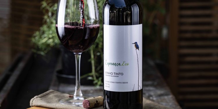 Esperança.Eco. Restaurante em Laranjeiras tem linha de vinhos exclusiva em parceria com a vinícola Bellaquinta, de São Roque (SP) — Foto: Divulgação/Santiago Harte