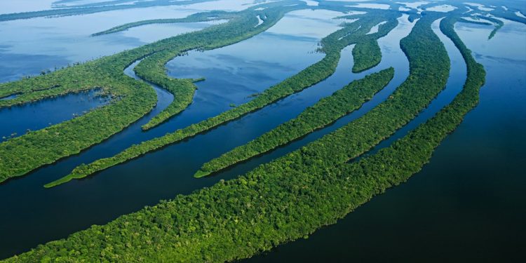 Arquipélago de Anavilhanas, no Rio Negro, a cerca de 70 quilômetros de Manaus, no Amazonas, em 2007 — Foto: Ricardo Stuckert / PR