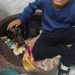 O menino Caio, cujo cachorro da família, Fred, foi um dos animais que fugiu em meio à confusão, mas depois voltou — Foto: Reprodução