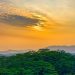 Aposta para a COP30: Entenda o que é o Fundo Florestas Tropicais para Sempre