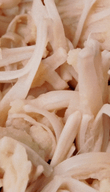 Aprenda receita vegana de salpicão de jaca para o fim do ano