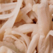 Aprenda receita vegana de salpicão de jaca para o fim do ano