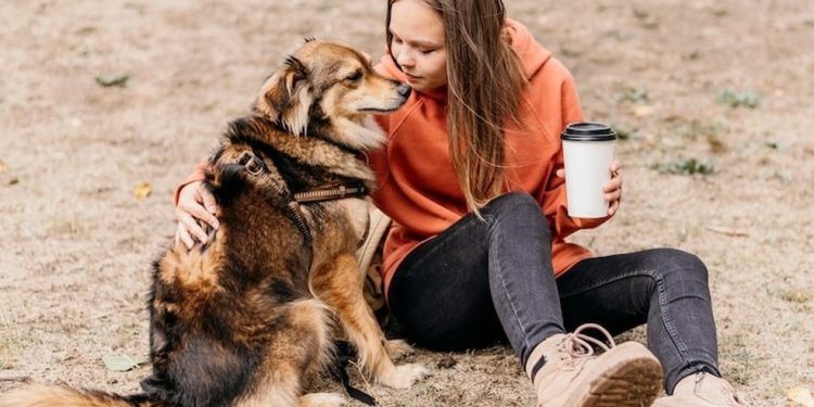 É provável que uma parcela dos nossos animais de estimação apresente diferenças na estrutura e na química cerebral — Foto: Freepik