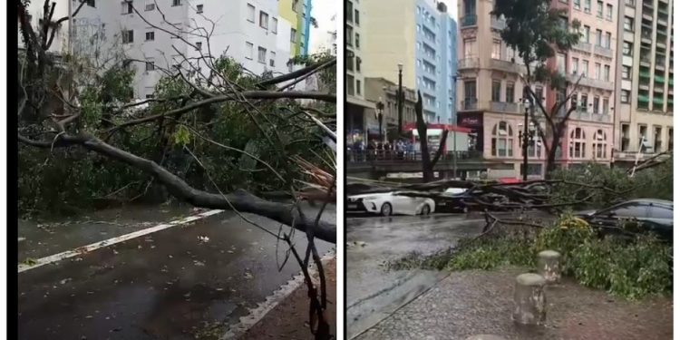 Queda de árvores na Avenida Nove de Julho, à esquerda, e no entorno da prefeitura de São Paulo, à direita: estragos do temporal de setembro — Foto: Reprodução