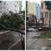 Queda de árvores na Avenida Nove de Julho, à esquerda, e no entorno da prefeitura de São Paulo, à direita: estragos do temporal de setembro — Foto: Reprodução