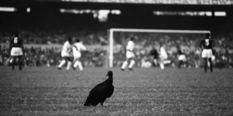 Segundo urubu jogado no Maracanã, em jogo do Fla contra o Vasco, no dia 8 de junho de 1969 — Foto: Arquivo/Agência O GLOBO